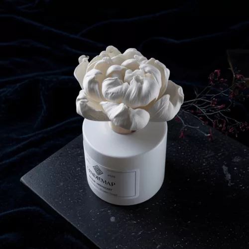 Axis flower diffuser 100 ml