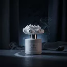 Axis flower diffuser 100 ml