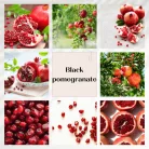 Black Pomegranate Flower diffuser