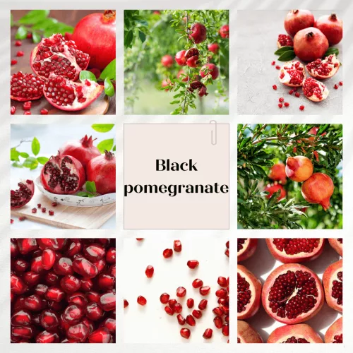 Black Pomegranate Flower diffuser