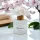 Cherry Blossom flower diffuser