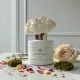 Dusk flower diffuser 100 ml