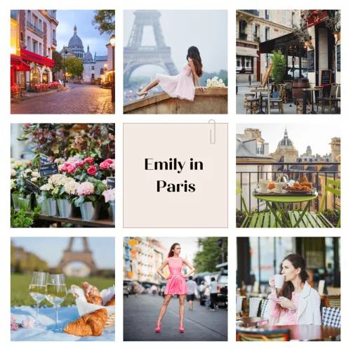 Emily in Paris  Flower diffuser