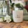 Lime, Basil & Mandarin Soy Wax Scented Candle