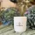 Roasted Chestnuts soy wax scented candle