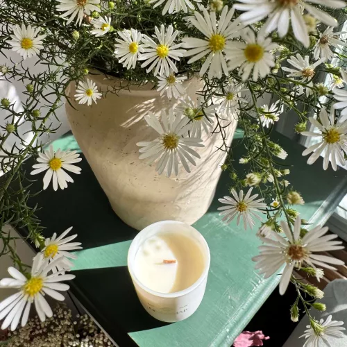 Under the Orange Tree soy wax scented candle