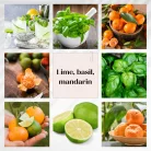Lime, basil, mandarin flower diffuser 100 ml