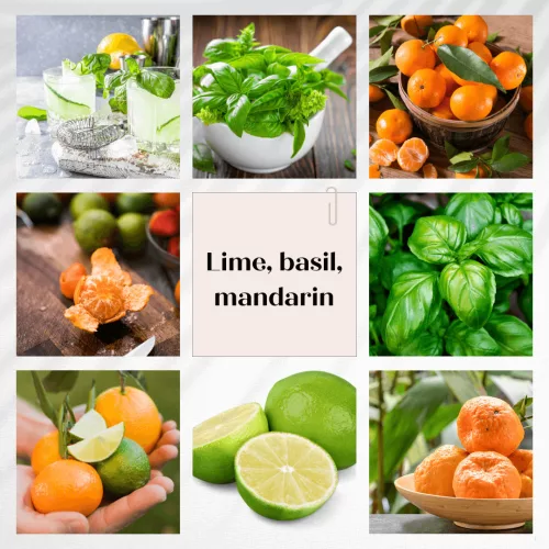 Lime, basil, mandarin flower diffuser 100 ml