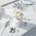 Axis flower diffuser 100 ml
