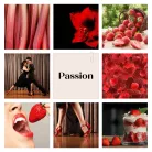 Passion Flower diffuser 100 ml