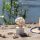 Paradise Beach Flower diffuser 100 ml
