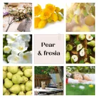 Pear & Fresia flower diffuser 100