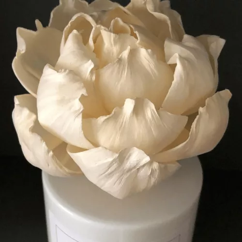 Parisian Spring Flower diffuser 100 ml
