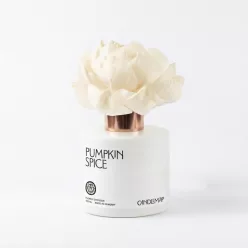 Pumpkin Spice Flower Diffuser