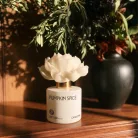 Pumpkin Spice Flower Diffuser