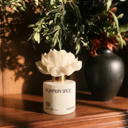 Pumpkin Spice Flower Diffuser