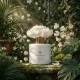 Secret Garden Flower diffuser 100 ml