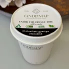 Under the Orange Tree Soy Wax Candle Refill