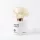 Winter Haven flower diffuser 100 ml