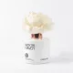Winter Haven flower diffuser 100 ml