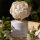 Zen Garden Flower diffuser 100 ml