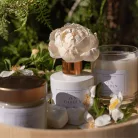Zen Garden Flower diffuser 100 ml