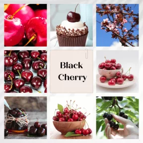 Black Cherry