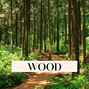 Woody fragrances - for both genders